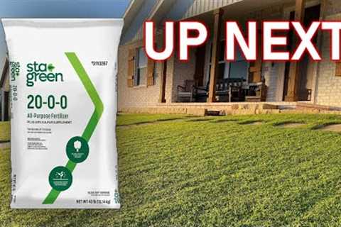 Easy Lawn Fertilizer Schedules