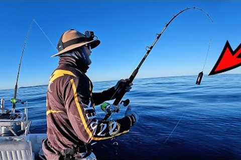 The fish you NEVER see! Underwater fishing camera reveals all!