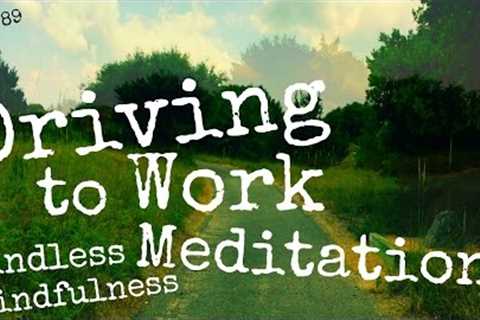 Driving to Work Meditation (Day 89)