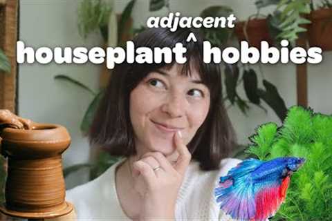 Houseplant Adjacent Hobbies You Should Try!
