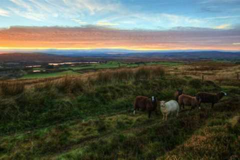 Discover the Magic of Riding Holidays in Ireland