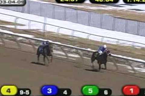 Horrifying Horse Racing Accident