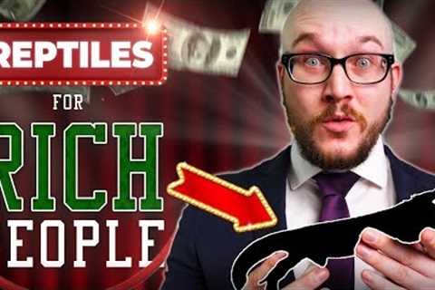 Top 5 Reptiles for Rich People!