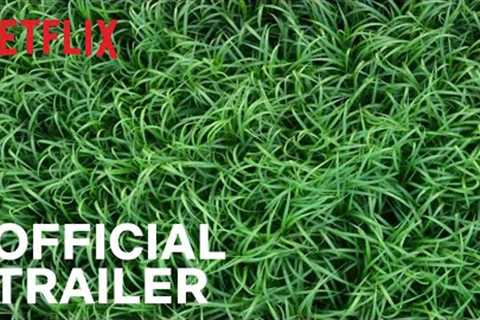 In the Tall Grass | Official Trailer | Netflix