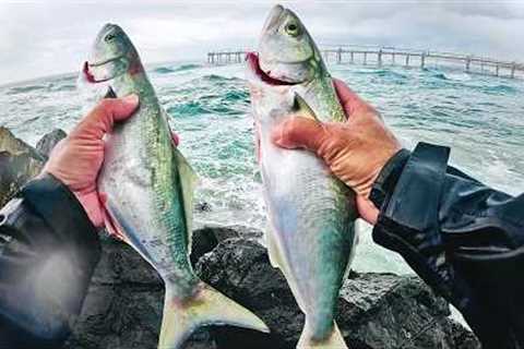Rock Fishing In A Rain Storm - Catch And Cook