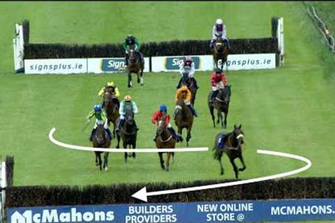 Just wait for the moment the LOOSE HORSE joins in at Limerick!