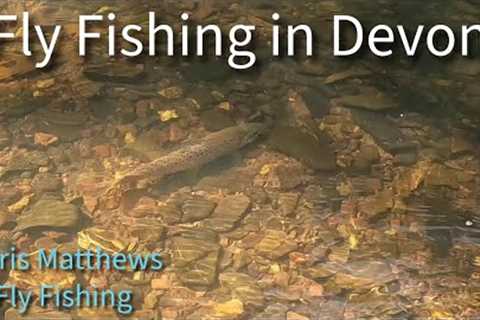 Challenging Trout (Fly Fishing the river Yeo)
