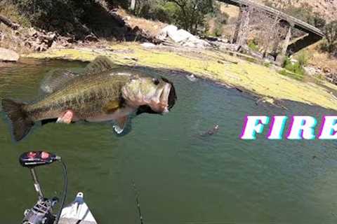 Pine Flat Lake Topwater Bass Fishing!!!!! (Epic bites!!!)