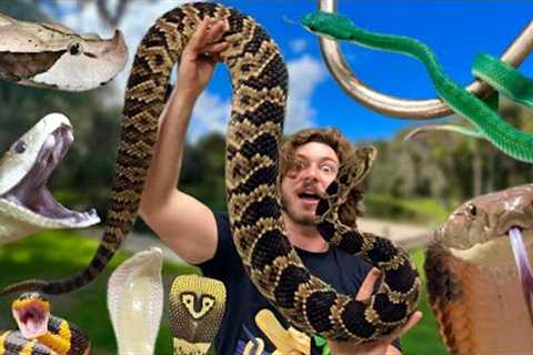 FULL SNAKE ROOM TOUR!! 2023