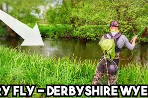 LOSING IT In My First Dry Fly Session Of The Season......