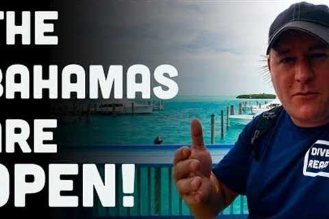 The Bahamas Are OPEN! A Scuba Diving Day Trip to Bimini