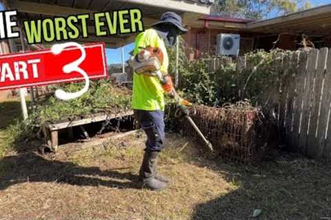 The most OVERGROWN Suburban backyard Ever part 3 Free Mow Fridays