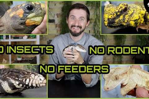 Top 5 Feeder-Free Reptiles