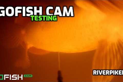 Underwater pike fishing - GoFish Cam - (video 245)