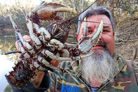 Epic Underwater Footage: Yellowbelly Fishing and Crayfish Encounter