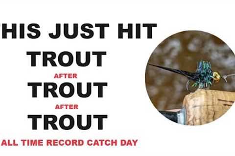 242. Record Trout 🐟 Catching Beaded Spider Flies 🐟 Fly Fishing UK 🐟