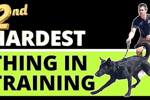 My Dog Goes Crazy Around Other Dogs - How to get Predictable Behavior with a Unique Leash Method.