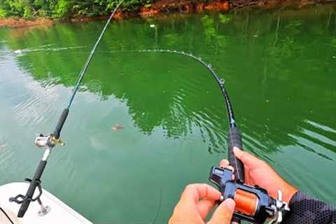 Using Live Bait to get Big Fish!!   (Backwoods Fishing)