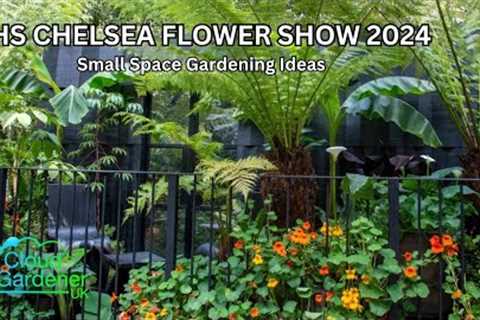 RHS Chelsea Flower Show 2024. Small Space Gardening Ideas