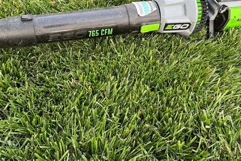 The Best Cordless Leaf Blowers, Tested By a Lawn Expert