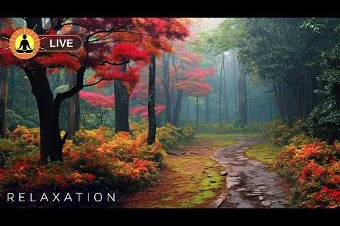 🔴 Relaxing Zen Music 24/7, Stress Relief Music, Sleep Music, Meditation Music, Study, Calming Music
