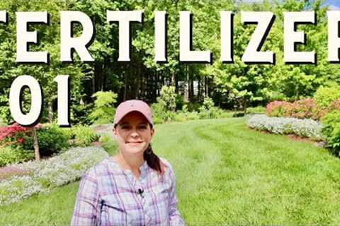 Food Equals Flowers: What You Need to Know About Fertilizing