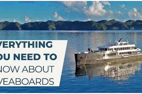 Everything You Need to Know About Liveaboard Diving @ExplorerVentures