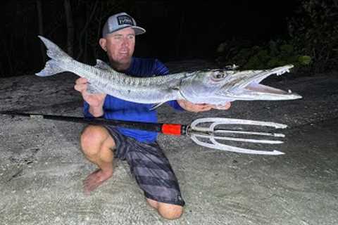 Catching Barracudas with Only a Hand Spear!  (Catch &amp; Cook)