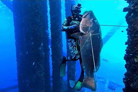 Spearfishing Offshore Oil Rigs WORLD RECORD 137 lb Cubera Snapper!