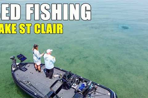 Bed Fishing Lake St Clair Smallmouth Bass (Clear Water)