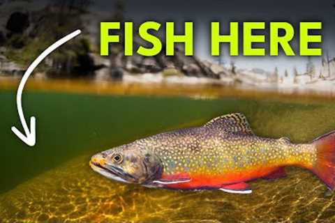 How To Find Trout In A River — Runs 101 | Module 8, Section 5