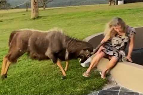 Best Fails of the Decade | Try Not to Laugh