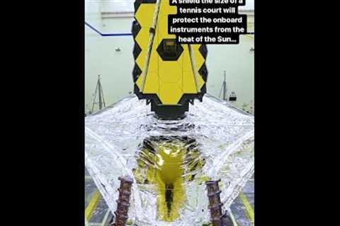James Webb Space Telescope launches! | The Royal Society