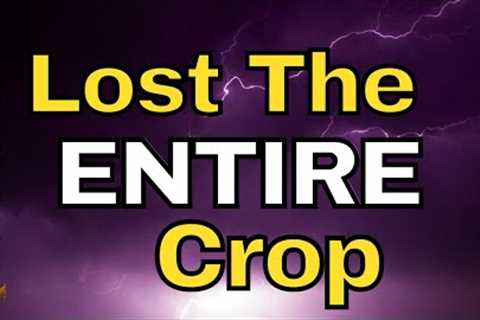 WARNING: Things Are RAPIDLY Changing - Food Shortage Updates
