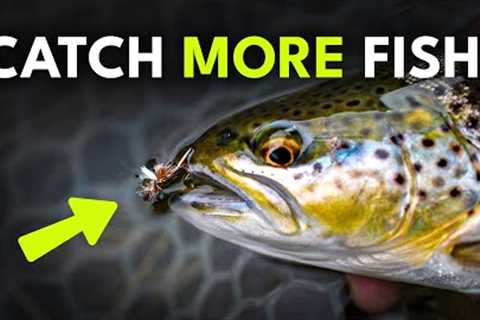 The Ultimate Dry Fly Fishing Playbook — 5 Tips To Catch More Trout | Ep. 77