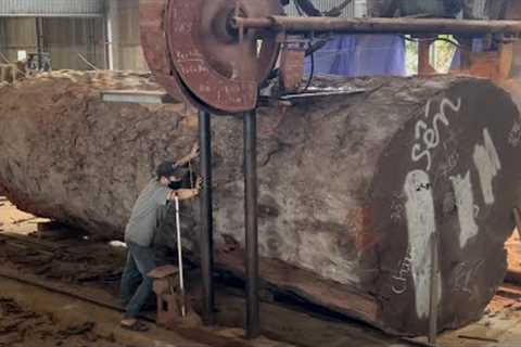 Amazing Woodworking Factory | Extreme Wood Cutting Sawmill Machines, Cheesy Wood Giant 1000 Year Old