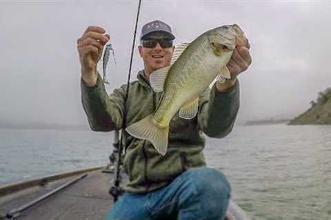How To Catch Bass On Any Lake!