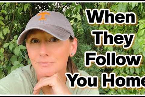 🚨 He Was Following Her Home!