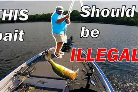 The Bass Fishing Study That Changed My Fishing Ways...