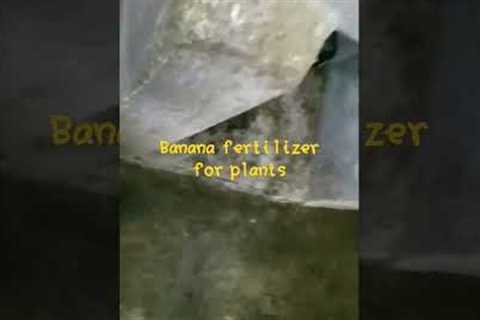 fruit fermented fertilizer for rapid growth in plants@nimmigardening164