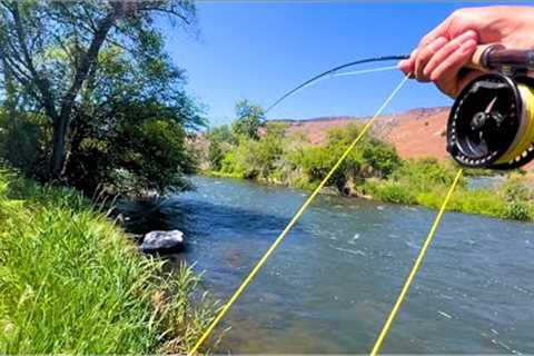 Bigger is BETTER - Dry Fly Fishing on the DESCHUTES RIVER
