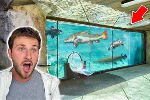AMERICAS GREATEST EXOTIC PET STORE!!