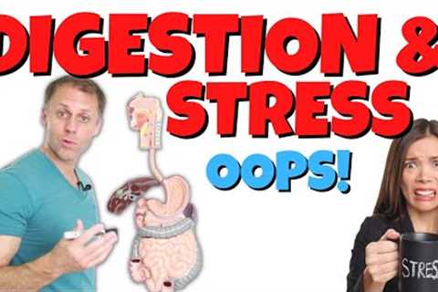 What Stress is Really Doing to Your Digestive System