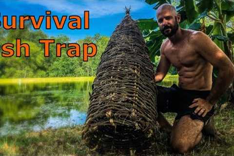 Primitive Survival Fish Trap - Build, Catch and Cook