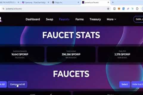 MEME COINS OR YIELD FARMING? WHICH ONE IS BETTER?