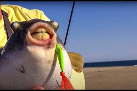 EPIC Inshore Fishing Adventure *Rooster Fish* {Catch Clean Cook} Catching fish 1 after the other!!!