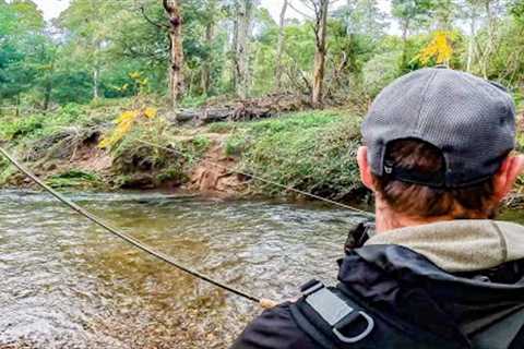 Late Season Fly Fishing for Large Trout in New Zealand