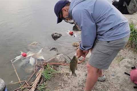White Bass Fishing Day 1, Hit A Jackpot, 5/20/2024