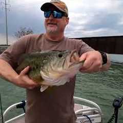 Cayuga Lake Bass Fishing Largest bass in 19 years over 8lbs!