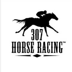307 Horse Racing, Energy Downs, June 29 2024, Race 1 (250 Yards)